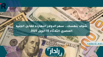 شوف بنفسك.. سعر الدولار النهارده مقابل الجنيه المصري الثلاثاء 15 أبريل 2025